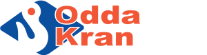Test mobil reklame