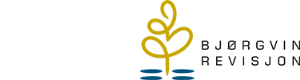 Logoen til Bjørgvin Revisjon As