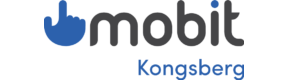 Logoen til Robert Holtungen Data AS