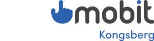Logoen til Robert Holtungen Data AS