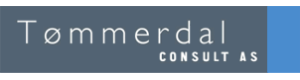 Logoen til Tømmerdal Consult As