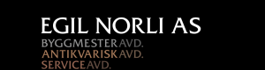 Logoen til Egil Norli AS