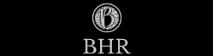 Logo til selskapet