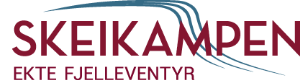 Logoen til Blålyng As