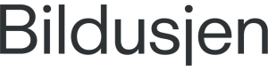Logoen til Bildusjen As