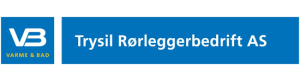 Logo til selskapet