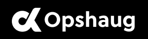 Logo til selskapet