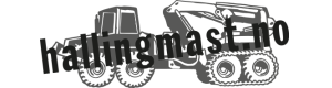 Logoen til Hallingmast AS