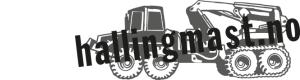 Logoen til Hallingmast AS