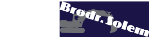 Logoen til Brødrene Solem As