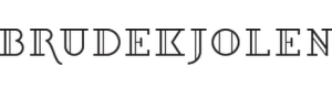 Logoen til Brudekjolen Oslo AS