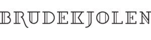 Logoen til Brudekjolen Oslo AS