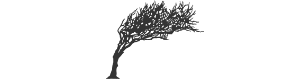 Logoen til Arkitektkontoret Vest AS