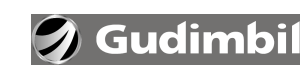 Logoen til Gudim Nyere Bil AS